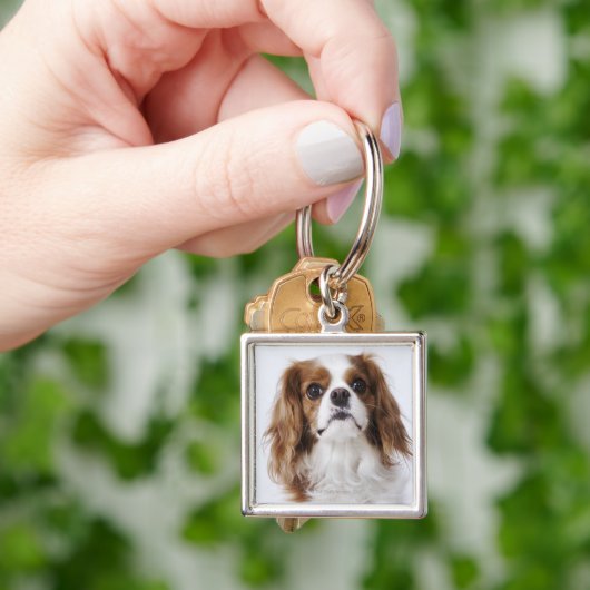 Cavalier King Charles Spaniel in studio Sleutelhanger (Hand)