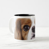 Cavalier King Charles Spaniel in studio Tweekleurige Koffiemok (Voorkant links)