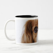 Cavalier King Charles Spaniel in studio Tweekleurige Koffiemok (Links)