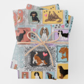 Cavalier King Charles Spaniel  Inpakpapier Vel (In situ)