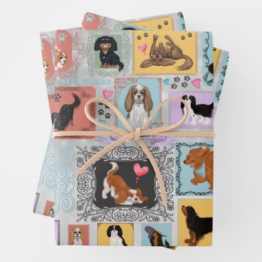 Cavalier King Charles Spaniel  Inpakpapier Vel (In situ)