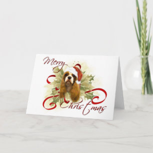 Cavalier King Charles Spaniel Kerst Kaarten