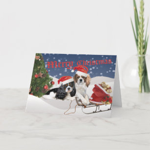 Cavalier King Charles Spaniel Kerst Kaarten