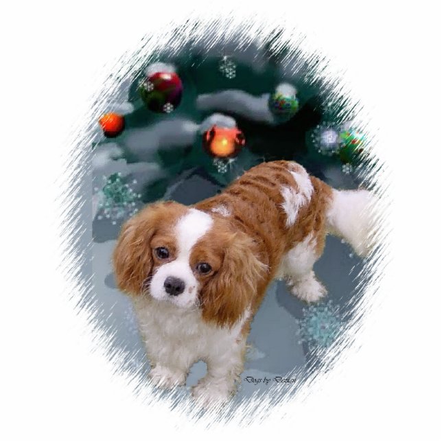Cavalier King Charles Spaniel kerstcadeaus Fotobeeldje Ornament (Voorkant)