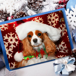 Cavalier King Charles Spaniel kerstliefde Feestdagen Kaart