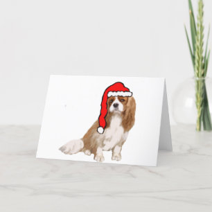 Cavalier King Charles Spaniel Kerstmis Feestdagen Kaart