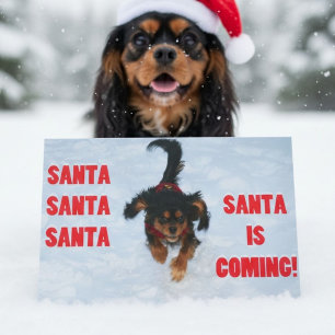 Cavalier King Charles Spaniel Kerstmis Feestdagen Kaart