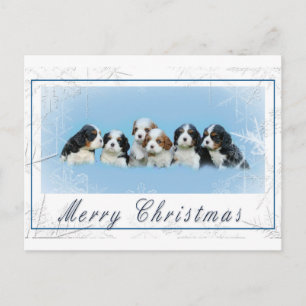 Cavalier King Charles Spaniel Kerstmis Feestdagenkaart