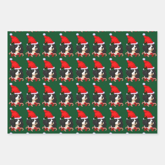 Cavalier King Charles Spaniel Kerstmis Inpakpapier Vel (Voorkant)