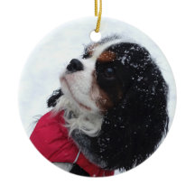 Cavalier King Charles Spaniel kerstornament