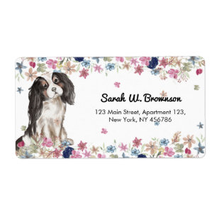 Cavalier King Charles Spaniel Kleine Hond Etiket