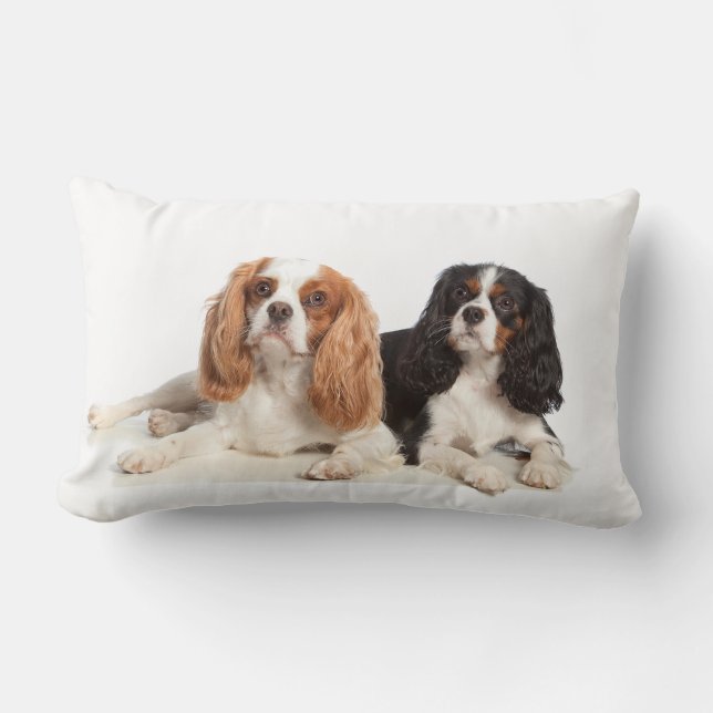 Cavalier King Charles Spaniel Kussen (Voorkant)