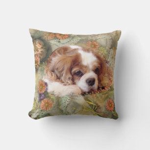 Cavalier King Charles Spaniel Kussen