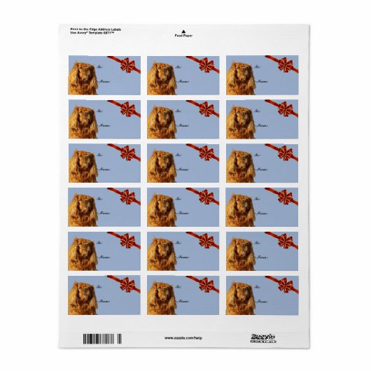 Cavalier King Charles Spaniel Label kerstcadeau (Full Sheet)