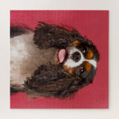 Cavalier King Charles Spaniel Legpuzzel (Horizontaal)
