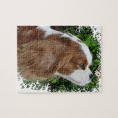 Cavalier King Charles Spaniel Legpuzzel (Horizontaal)