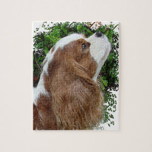 Cavalier King Charles Spaniel Legpuzzel