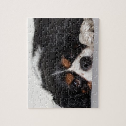 Cavalier King Charles Spaniel Legpuzzel (Verticaal)