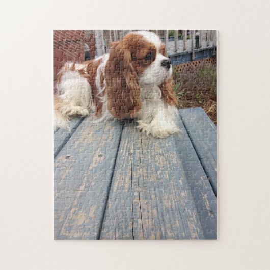 Cavalier King Charles Spaniel Legpuzzel (Verticaal)