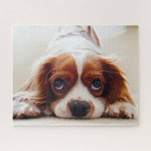 Cavalier King Charles Spaniel Legpuzzel