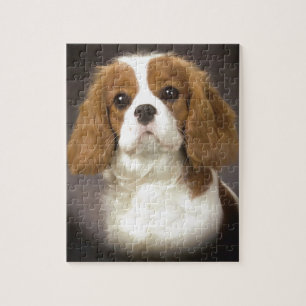 Cavalier King Charles Spaniel Legpuzzel