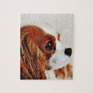 Cavalier King Charles Spaniel Legpuzzel