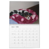 Cavalier King Charles Spaniel Love. - Gepersonalis Kalender (Mar 2026)