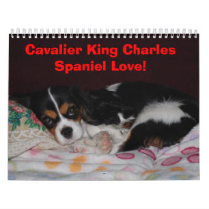 Cavalier King Charles Spaniel Love. - Gepersonalis Kalender