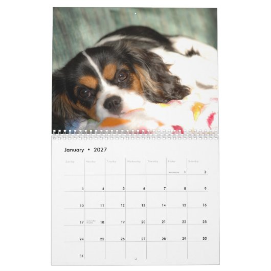 Cavalier King Charles Spaniel Love. - Gepersonalis Kalender (Jan 2027)