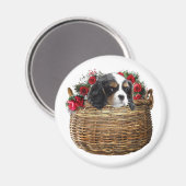 Cavalier King Charles Spaniel Magneet (Voorkant / Achterkant)