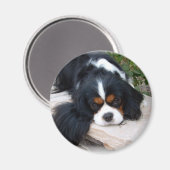 Cavalier King Charles Spaniel magneet (Voorkant / Achterkant)