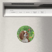 Cavalier King Charles Spaniel Magnet (In Situ (Lave-vaisselle))