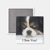 Cavalier King Charles Spaniel Magnet Tri (Recto/Verso)