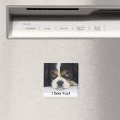 Cavalier King Charles Spaniel Magnet Tri Magneet (Insitu (Vaatwasser))