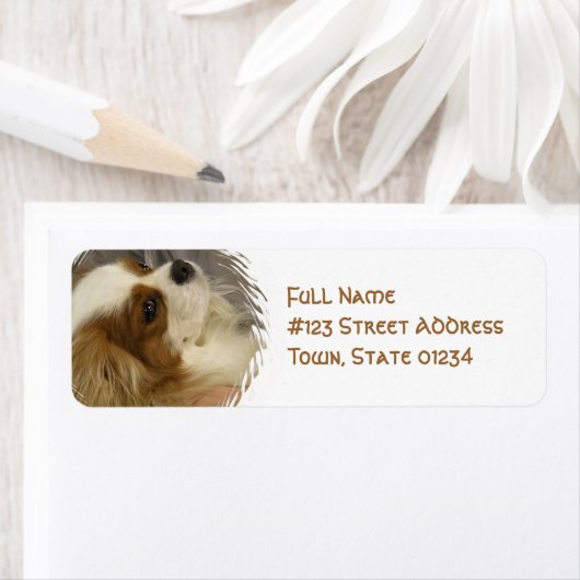 Cavalier King Charles Spaniel Mailing Label (Insitu)