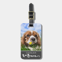 Cavalier King Charles Spaniel mam Dog's foto