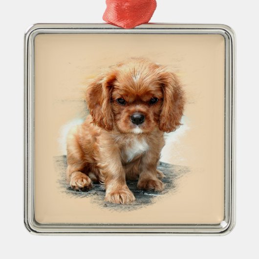 Cavalier King Charles Spaniel Metalen Ornament (Voorkant)