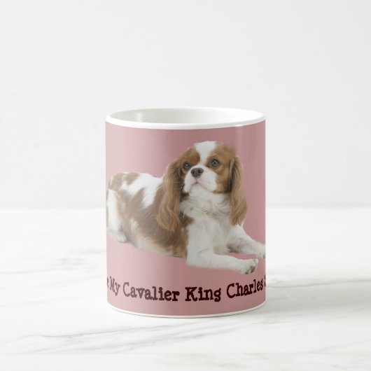 Cavalier King Charles Spaniel Mok (Center)