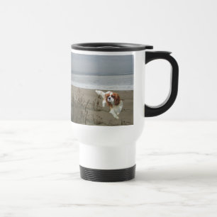 Cavalier King Charles Spaniel Mok