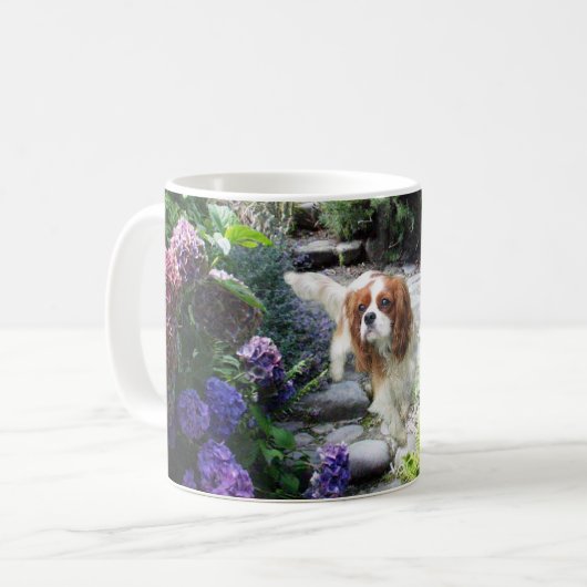 Cavalier King Charles Spaniel Mok (Voorkant links)