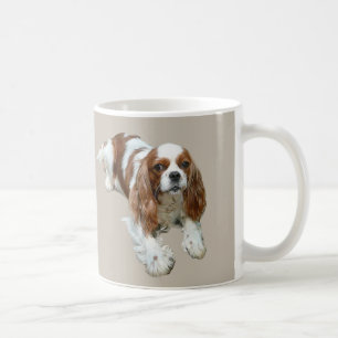 Cavalier King Charles Spaniel Mok