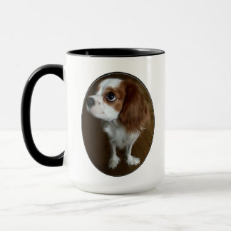 Cavalier King Charles Spaniel Mok