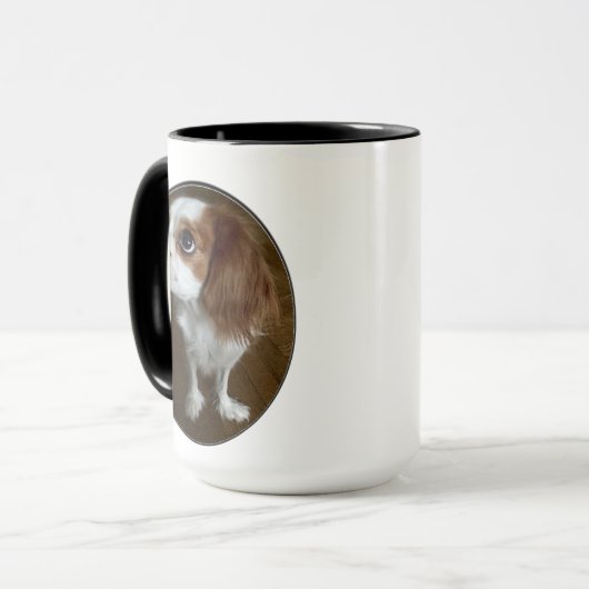 Cavalier King Charles Spaniel Mok (Voorkant links)