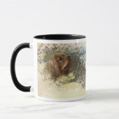 Cavalier King Charles Spaniel Mok (Links)