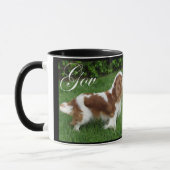 Cavalier King Charles Spaniel Mok (Links)