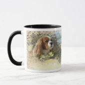 Cavalier King Charles Spaniel Mok (Links)