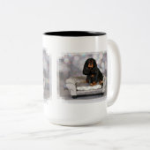 Cavalier King Charles Spaniel - Mokken (Voorkant rechts)