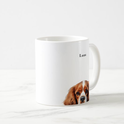 Cavalier King Charles Spaniel Mokken (Voorkant rechts)
