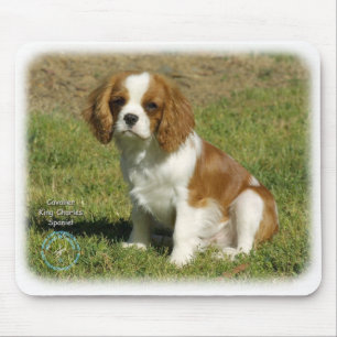 Cavalier King Charles Spaniel Muismat