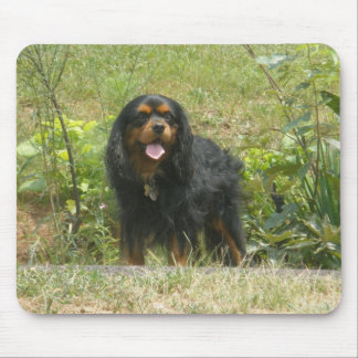 Cavalier King Charles Spaniel Muismat